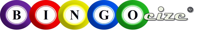 Bingosize logo.